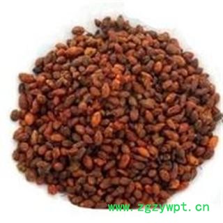 新疆沙棘果干 沙棘手工挑选沙棘果今年新货图2