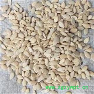 吉康药业冬瓜子 单边25 双边40 新货 量大从优图2