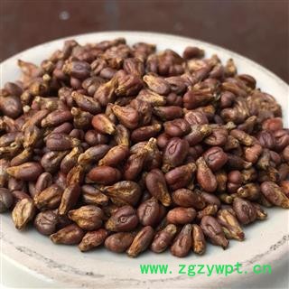 吉康药业 水洗净货 葡萄籽图2