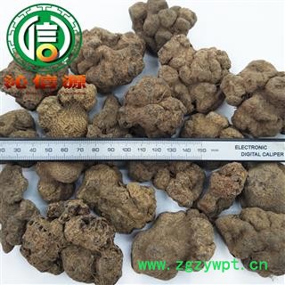 【满包邮】朱砂莲个子统货散装广西产地直供辟蛇雷 透水雷 辟水雷 雷见怕 牛血莲 沁信源中药批发图2