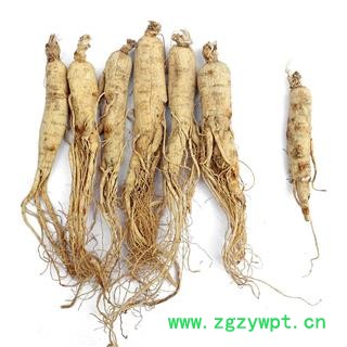 【满298元包邮】人参生晒参35支   500克1袋图3