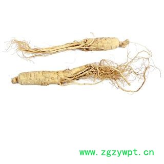 【满298元包邮】人参生晒参35支   500克1袋图2