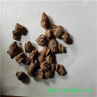 藕节 01统 产地 山东省烟台市图3