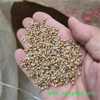 芫荽子 通货 产地 河南省平顶山市汝州市图2