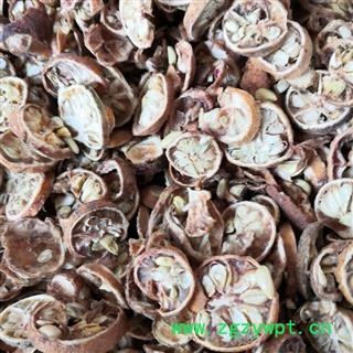 枳壳 其它地区枳壳对瓣 产地 河南省平顶山市汝州市图3