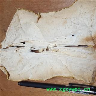 吉康药业 香橼   枸橼 枸橼子 非减肥果图2