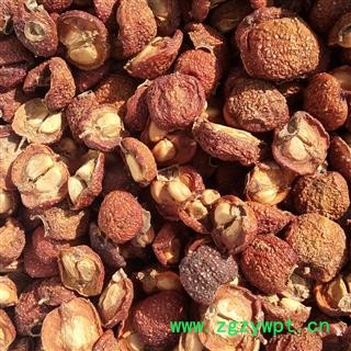 野山楂 机切烘干机烘干 产地 河南省平顶山市汝州市图2