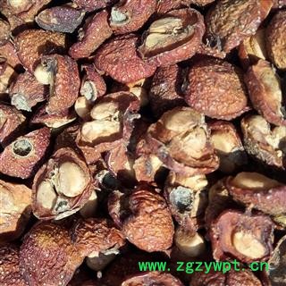 野山楂 机切烘干机烘干 产地 河南省平顶山市汝州市图3