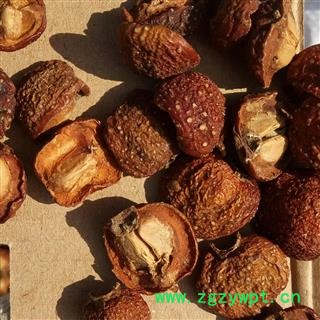 野山楂 机切烘干机烘干 产地 河南省平顶山市汝州市图4