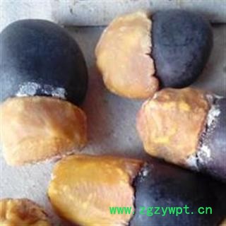 吉康药业 缅茄 菩提子 缅茄籽缅茄散珠菩提树花图2