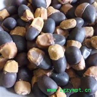 吉康药业 缅茄 菩提子 缅茄籽缅茄散珠菩提树花图3