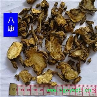 独活 01统 产地 四川省德阳市广汉市图2