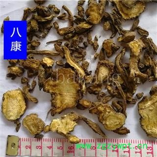 独活 01统 产地 四川省德阳市广汉市图3