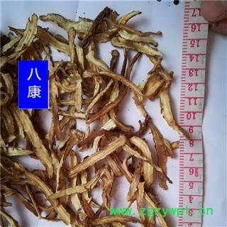 当归 节01 产地 甘肃省图2