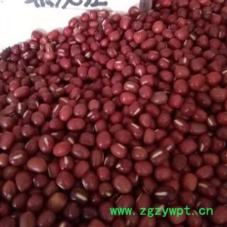 吉康药业红小豆有别于赤小豆大货图2