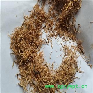 三七 毛须 产地 云南省保山市图3