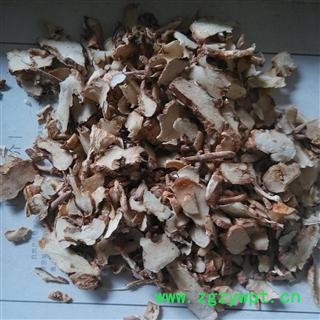 知母 02圆片统 产地 河北省保定市安国市图3