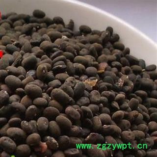 吉康药业野料豆 零乌豆 马料豆 黑豆细黑豆 马豆图2