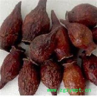 吉康药业金樱子  刺榆子刺梨子 金罂子 山石榴 山鸡头子 糖罐图2