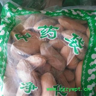 新辉药业正品芒果核 杧果核图2