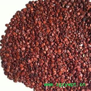 枣仁 炒枣仁 纯净进口枣仁 正品药材，地道药材 理枣仁饱满精选货 ，产地 海外图2