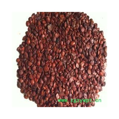 枣仁 炒枣仁 纯净进口枣仁 正品药材，地道药材 理枣仁饱满精选货 ，产地 海外