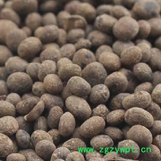 急性子 急性子统货 产地 河南省图2