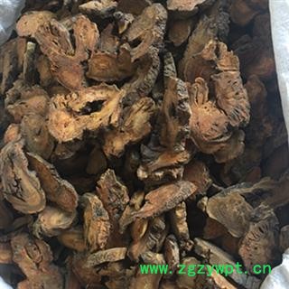 山大黄  01统图2