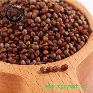 紫苏子净货 东北产 药典标准 地道良药馆1000克直销图2