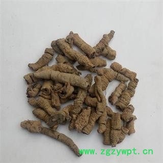 巴戟 肉02 产地 广西壮族自治区图3