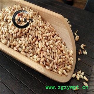 柏子仁选货 产地山东 去壳率98% 药典标准 地道良药馆1000克直销图4