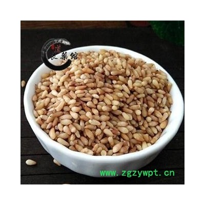 柏子仁选货 产地山东 去壳率98% 药典标准 地道良药馆1000克直销