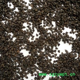 冬葵子 精选野生 产地 河南省平顶山市汝州市图4