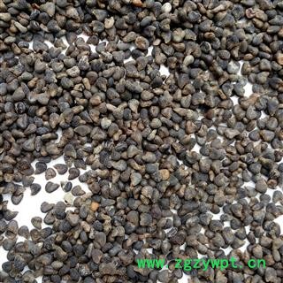 冬葵子 精选野生 产地 河南省平顶山市汝州市图3