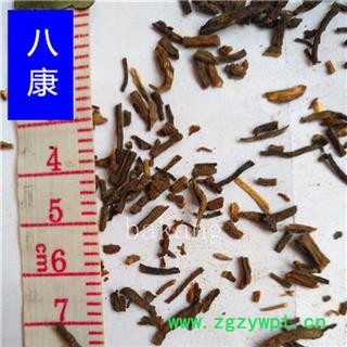 羌活 尾子 产地 四川省德阳市图3