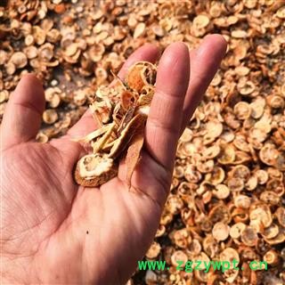 枳壳 薄片 产地 河南省平顶山市汝州市图4