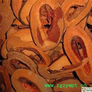 光皮、短片木瓜 产地陕西省图2