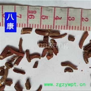 丹参 丹参细段图2