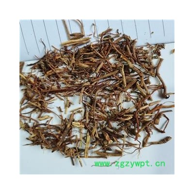 龙胆草 统 产地 云南省昭通市