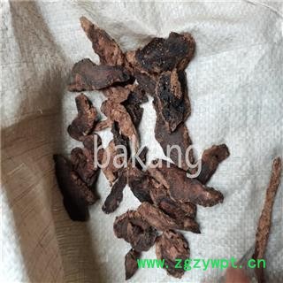 生地黄  产地 河南省图3