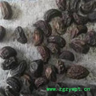 吉康药业女贞子 女贞子 鸡腰果图2