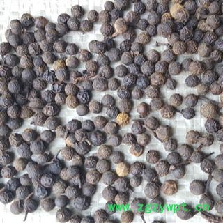 吉康药业荜澄茄 山苍子 山鸡椒 山香椒 山胡椒 干木姜子图2