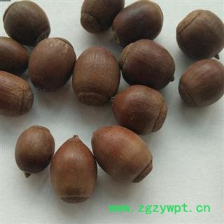 吉康药业橡子 栗茧 橡实 橡实壳图2