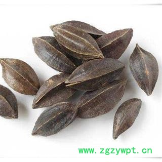 使君子 留求子 史君子 五棱子 冬均子 病柑子新货子仁饱满重在品质吉康药业图2