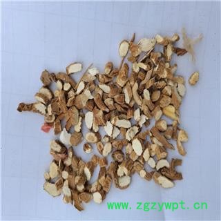 白芷 颗粒 产地 河北省保定市图2