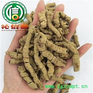 【满包邮】巴戟天全抽芯圆筒大统货散装产地直供巴戟天肉 巴戟筒 巴戟天圆筒 巴戟肉沁信源中药材批发图3