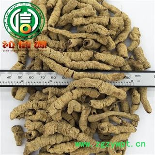 【满包邮】巴戟天全抽芯圆筒大统货散装产地直供巴戟天肉 巴戟筒 巴戟天圆筒 巴戟肉沁信源中药材批发图2