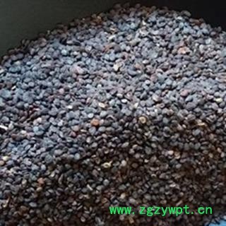 中药材菥蓂 菥蓂子新货图2