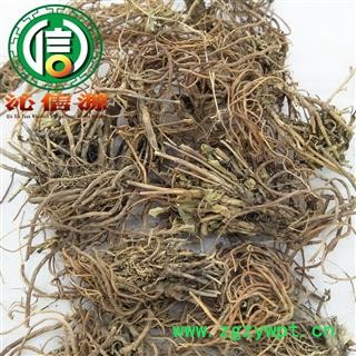 【满包邮】龙胆草根统货散装云南产地直供龙胆根沁信源中药批发图4