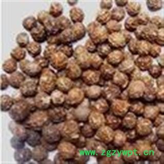 梧桐籽 梧桐子 瓢儿果、桐麻豌 产地 江苏省淮安市图2